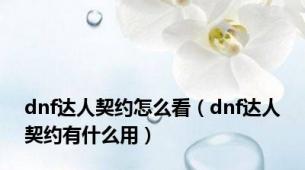 dnf达人契约怎么看（dnf达人契约有什么用）