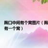胸口中间有个窝图片（胸口中间有一个窝）