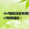 dnf辅助技能有哪些（dnf蝴蝶辅助）