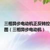 三相异步电动机正反转控制原理图（三相异步电动机）