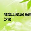 钱塘江现幻彩鱼尾状潮汐纹