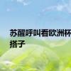 苏醒呼叫看欧洲杯的球搭子