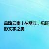 品牌云南丨在丽江，见证东巴象形文字之美