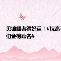 见锦鲤者得好运!#祝高考学子们金榜题名#