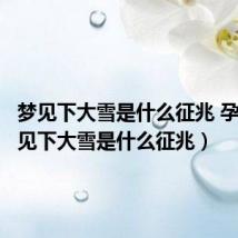 梦见下大雪是什么征兆 孕妇(梦见下大雪是什么征兆)