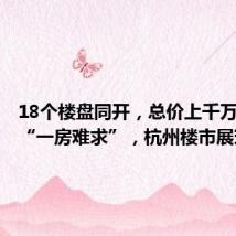 18个楼盘同开,总价上千万大户型“一房难求”,杭州楼市展现韧性