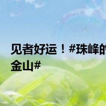 见者好运！#珠峰的日照金山#
