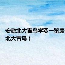 安徽北大青鸟学费一览表（安徽北大青鸟）