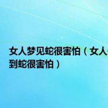 女人梦见蛇很害怕（女人做梦梦到蛇很害怕）