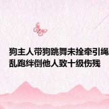 狗主人带狗跳舞未拴牵引绳,犬只乱跑绊倒他人致十级伤残