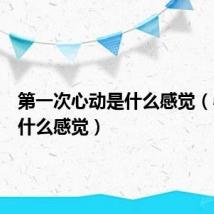 第一次心动是什么感觉(心动是什么感觉)