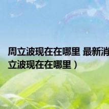 周立波现在在哪里 最新消息（周立波现在在哪里）