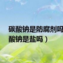 碳酸钠是防腐剂吗（碳酸钠是盐吗）