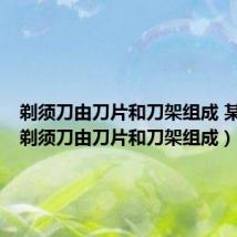 剃须刀由刀片和刀架组成 某时期（剃须刀由刀片和刀架组成）