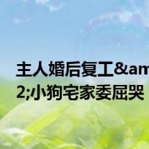 主人婚后复工&#32;小狗宅家委屈哭