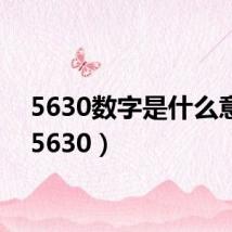 5630数字是什么意思(5630)