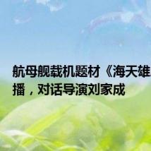 航母舰载机题材《海天雄鹰》热播,对话导演刘家成