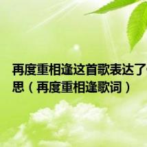 再度重相逢这首歌表达了什么意思（再度重相逢歌词）