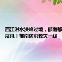 西江洪水洪峰过境,郁南都城安全度汛丨郁南防汛救灾一线