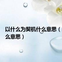 以什么为契机什么意思（契机什么意思）