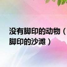 没有脚印的动物（没有脚印的沙滩）