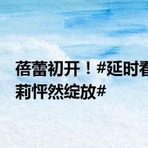 蓓蕾初开！#延时看垂茉莉怦然绽放#