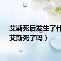 艾斯死后发生了什么（艾斯死了吗）