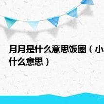 月月是什么意思饭圈（小月月是什么意思）