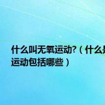 什么叫无氧运动?（什么是有氧运动包括哪些）