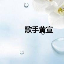 歌手黄宣