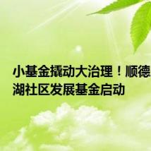 小基金撬动大治理!顺德乐从琴湖社区发展基金启动