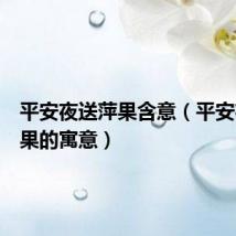 平安夜送萍果含意(平安夜送苹果的寓意)