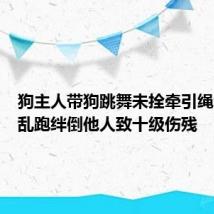 狗主人带狗跳舞未拴牵引绳,犬只乱跑绊倒他人致十级伤残