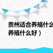 贵州适合养殖什么好（养殖什么好）