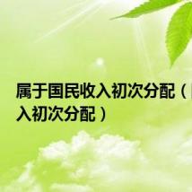 属于国民收入初次分配（国民收入初次分配）