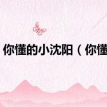 你懂的小沈阳（你懂的）