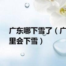 广东哪下雪了（广东哪里会下雪）