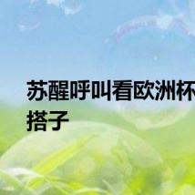 苏醒呼叫看欧洲杯的球搭子