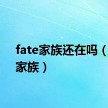 fate家族还在吗（fate家族）