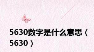 5630数字是什么意思（5630）