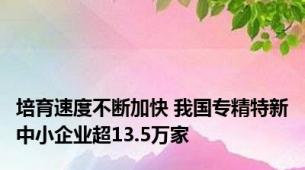 培育速度不断加快 我国专精特新中小企业超13.5万家