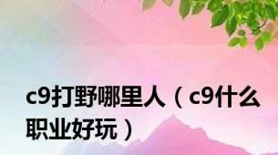 c9打野哪里人（c9什么职业好玩）