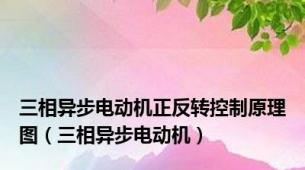 三相异步电动机正反转控制原理图（三相异步电动机）