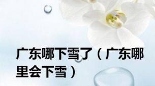 广东哪下雪了（广东哪里会下雪）