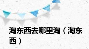 淘东西去哪里淘（淘东西）