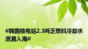 #韩国核电站2.3吨乏燃料冷却水泄漏入海#