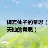 貌若仙子的意思（貌若天仙的意思）