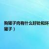 狗獾子肉有什么好处和坏处（狗獾子）