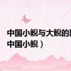 中国小鲵与大鲵的区别（中国小鲵）