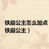 铁扇公主怎么加点（dnf铁扇公主）